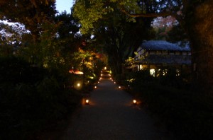 P1000146