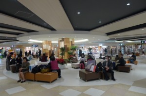 P1010265