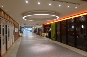 P1010309