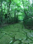 s-IMG_1791