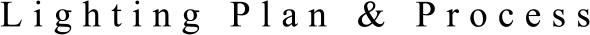 Lighting Plan & Process